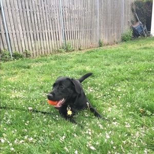 Meet your Posher, Aisling